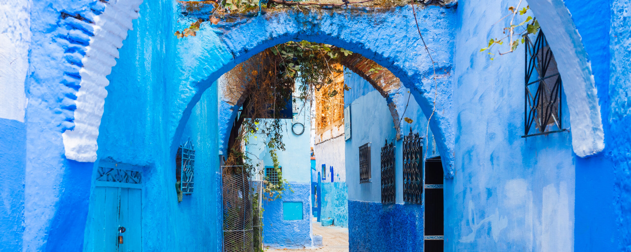 Blue, serene, mystical, authentic.